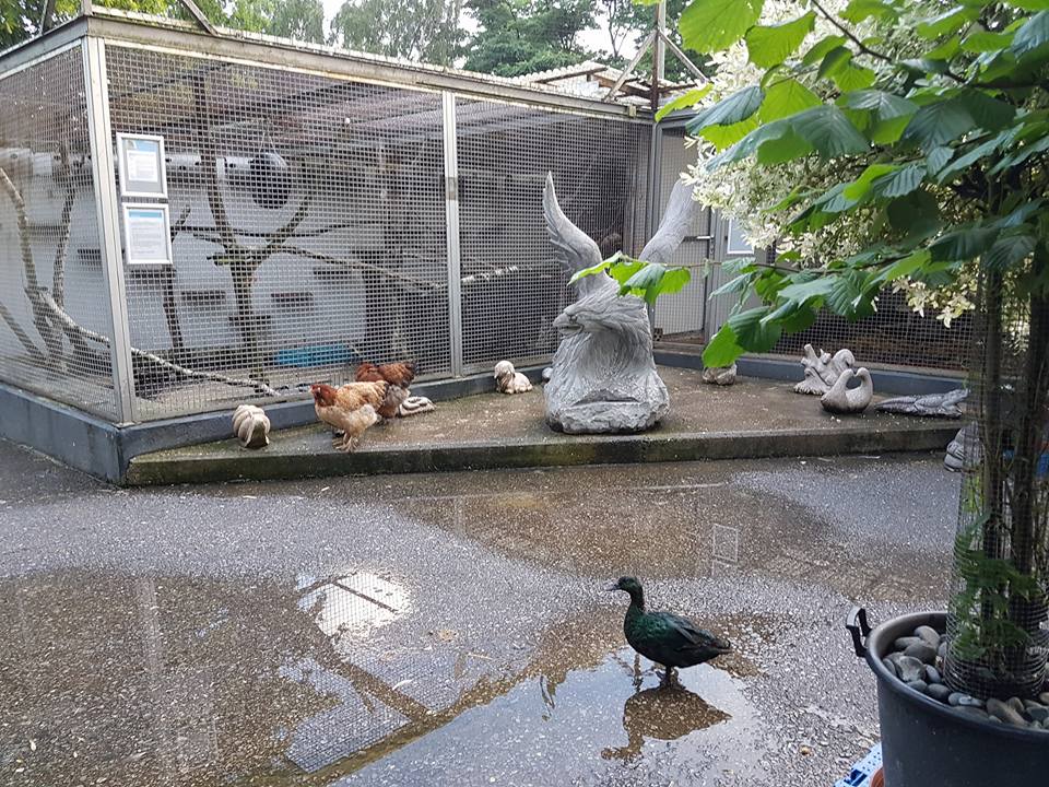 Biggest Pet Store In The World Photos All